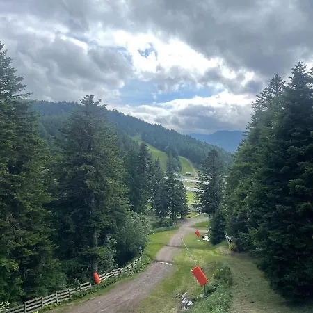 Appartement Superbe Aux Pieds Des Pistes De Avec Balcon-parking Et Casier