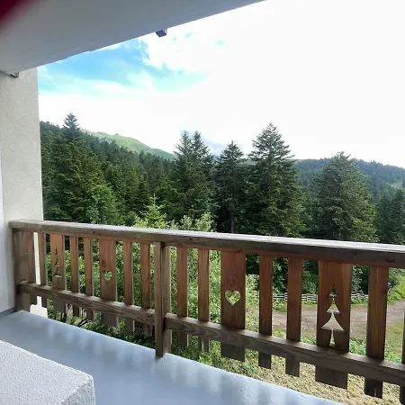 Superbe Aux Pieds Des Pistes De Avec Balcon-parking Et Casier Апартаменты Laveissiere